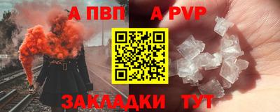 амф Кингисепп