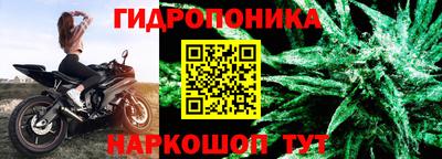 амф Кингисепп