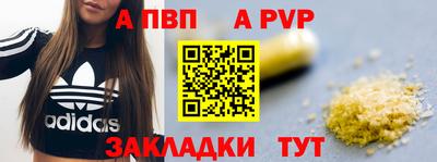 амф Кингисепп