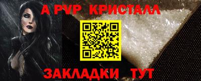 амф Кингисепп