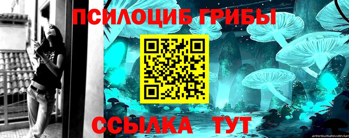 Котельники  как найти закладки  Вход с VPN  Псилоцибиновые грибы Cubensis  Псилоцибиновые грибы Magic Shrooms 